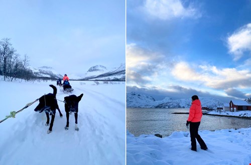 Van hondenslee tot hiken langs de fjorden Van hondenslee tot hiken langs de fjorden